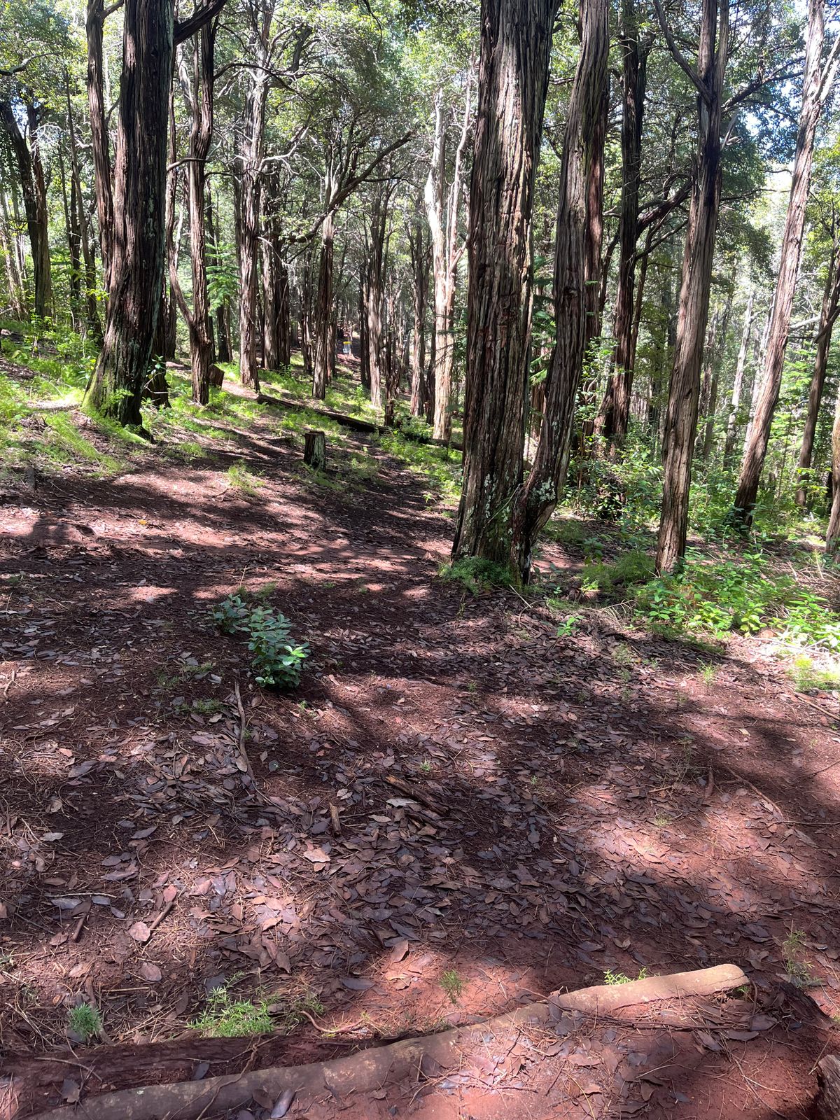 Hole 6
