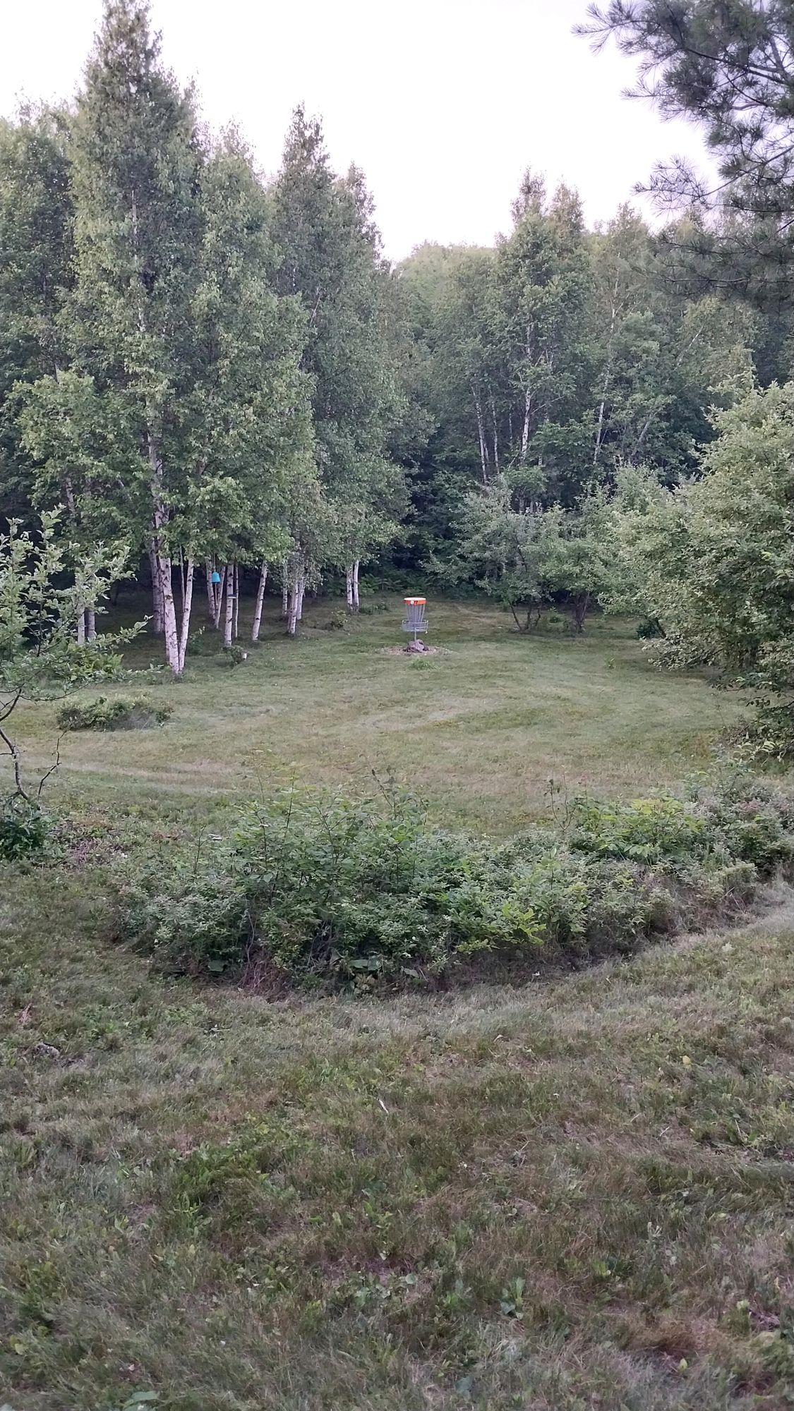 Hole 17 long