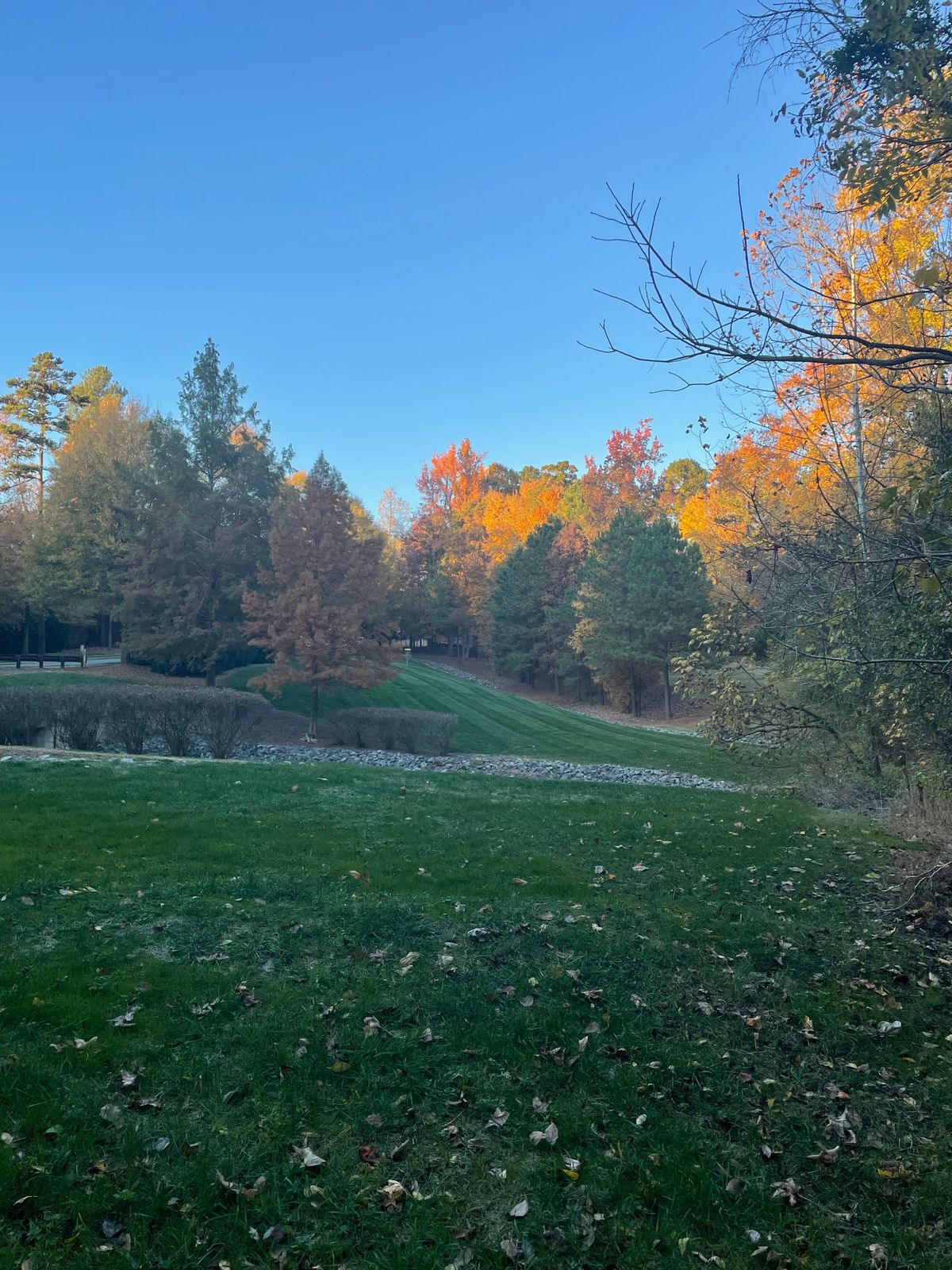I mean this is just sick. This is a shot of hole 8 from the fairway of nine.