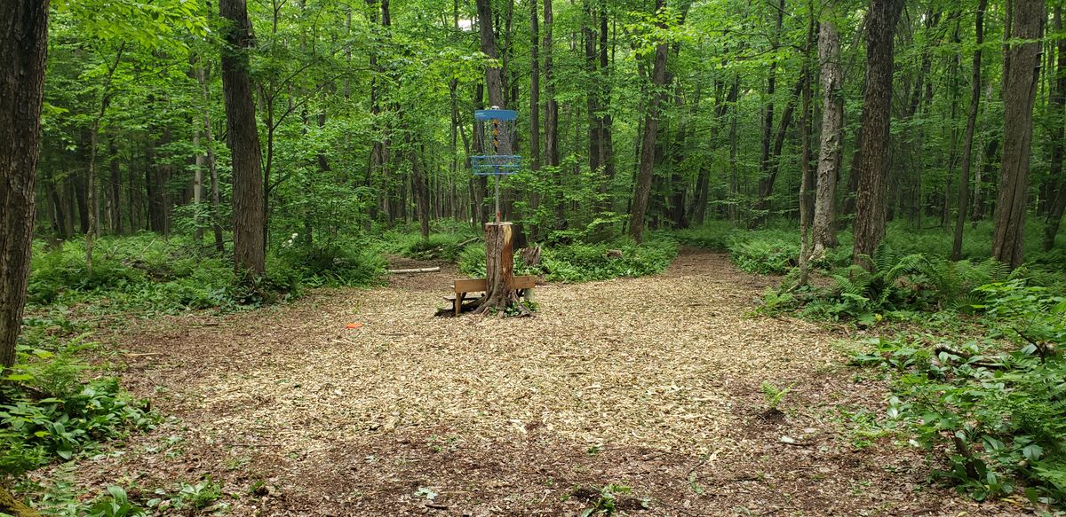 Circle #13 with fresh woodchips.