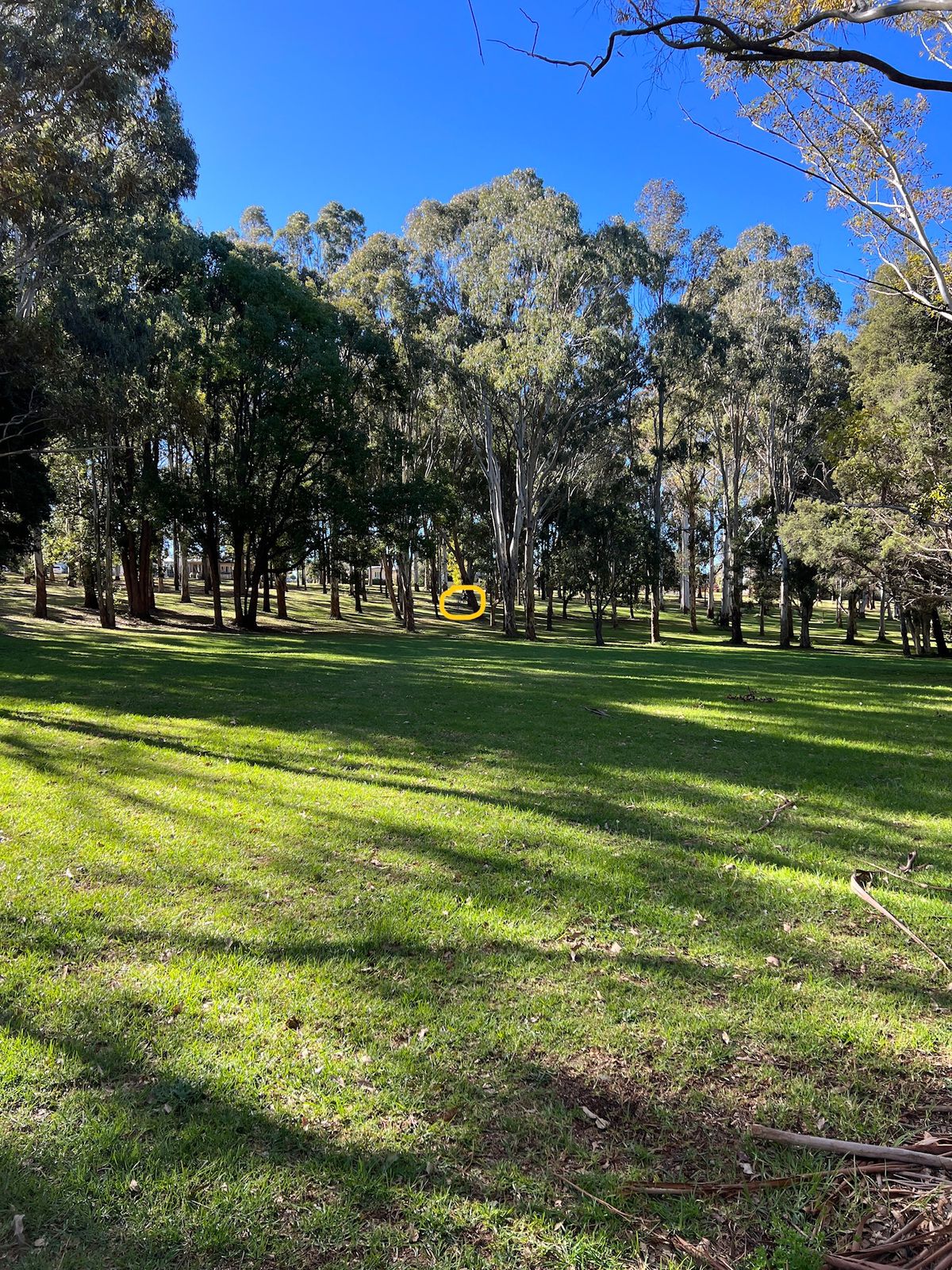 Hole 6 after fairway drive sets up for uphill shot to basket