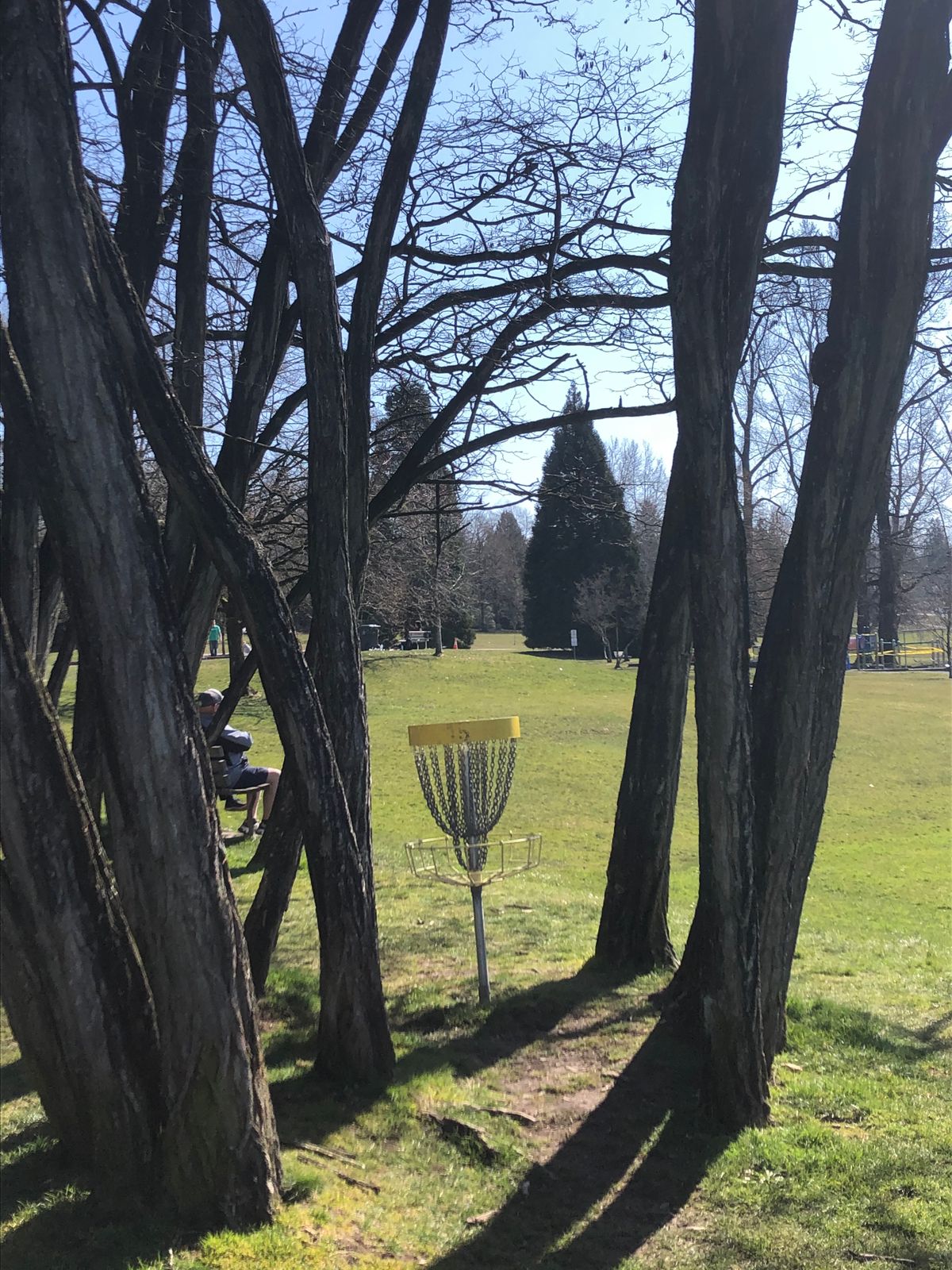 Hole 5 was surrounded by trees.