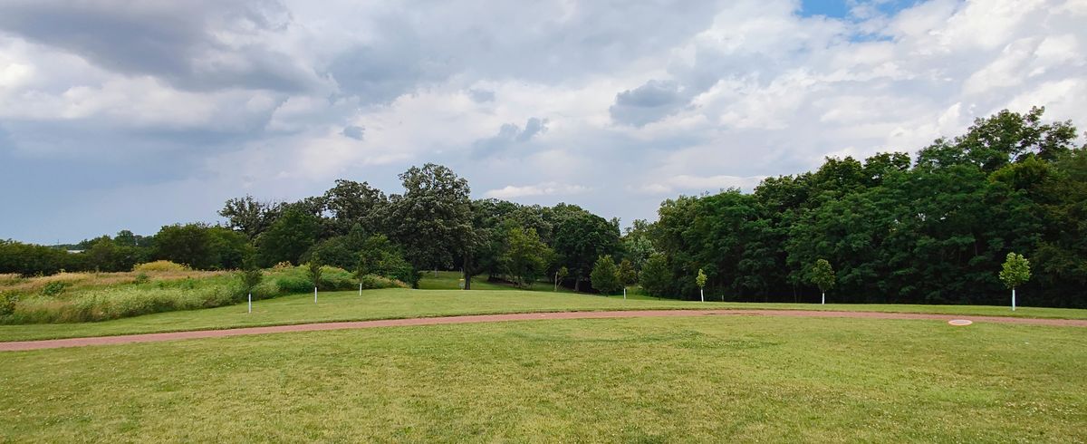 12 fairway to basket