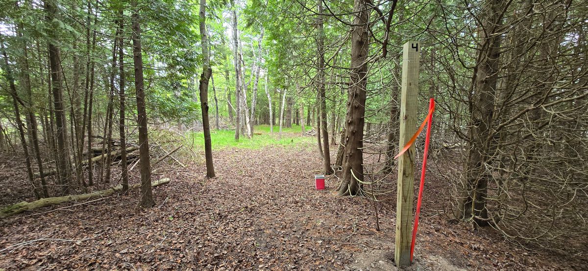 Hole 4 Tee