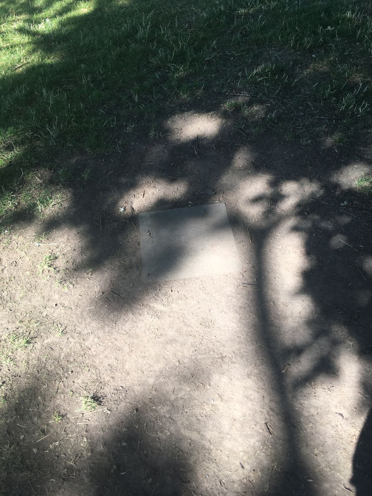 Tee pad
