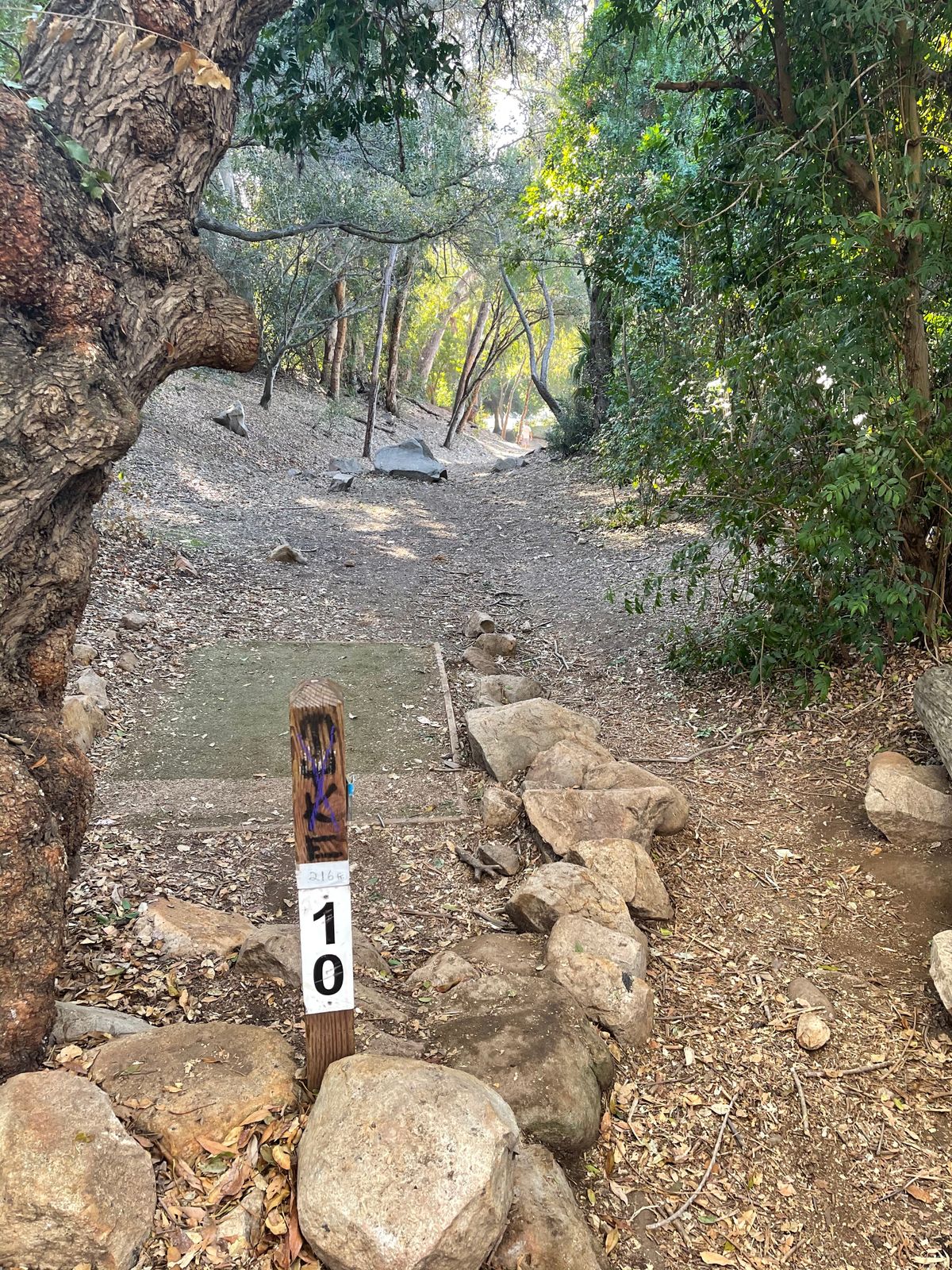 Hole 10