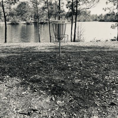 Hole 5 basket