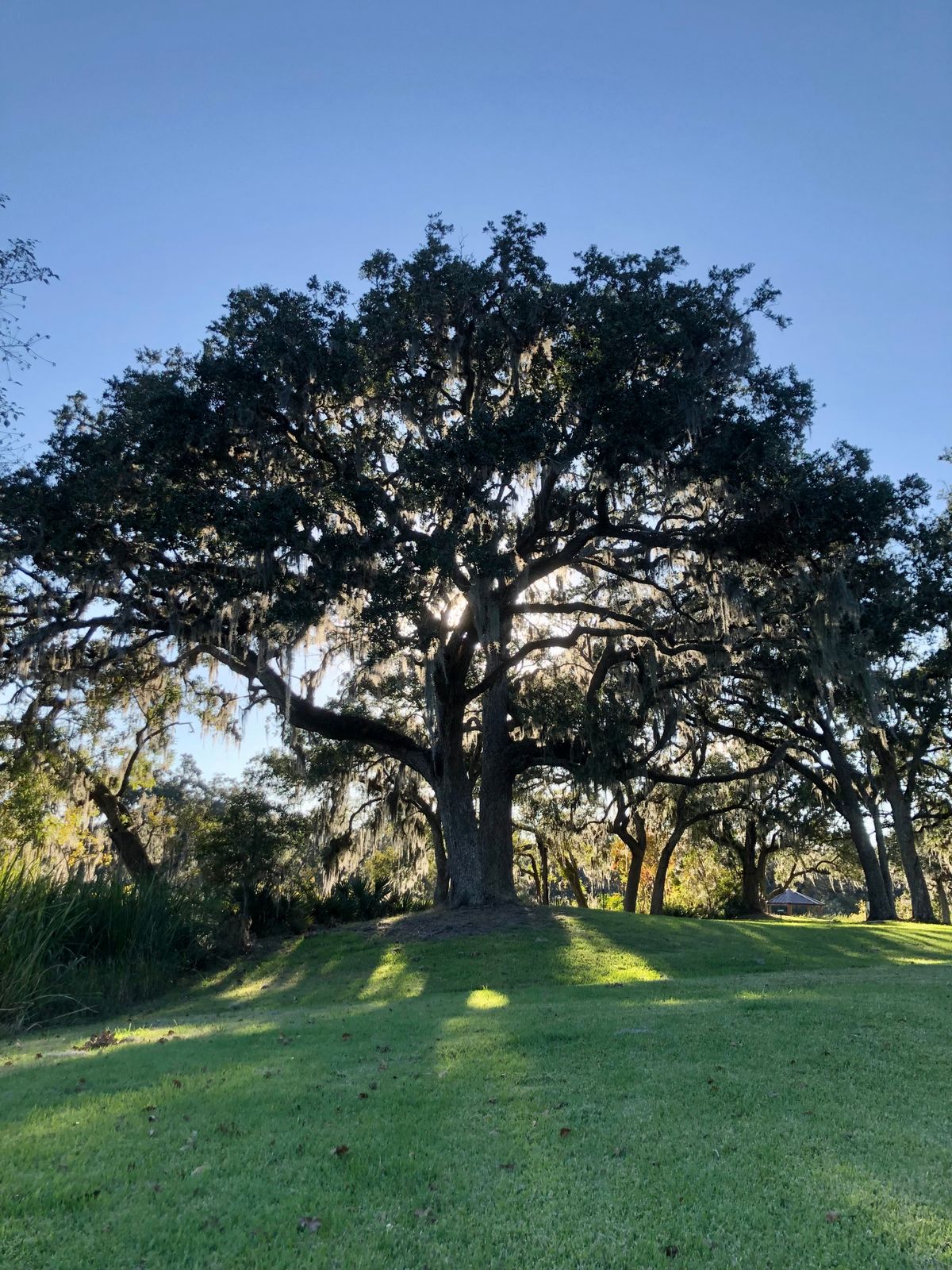 Approach to Hole 5