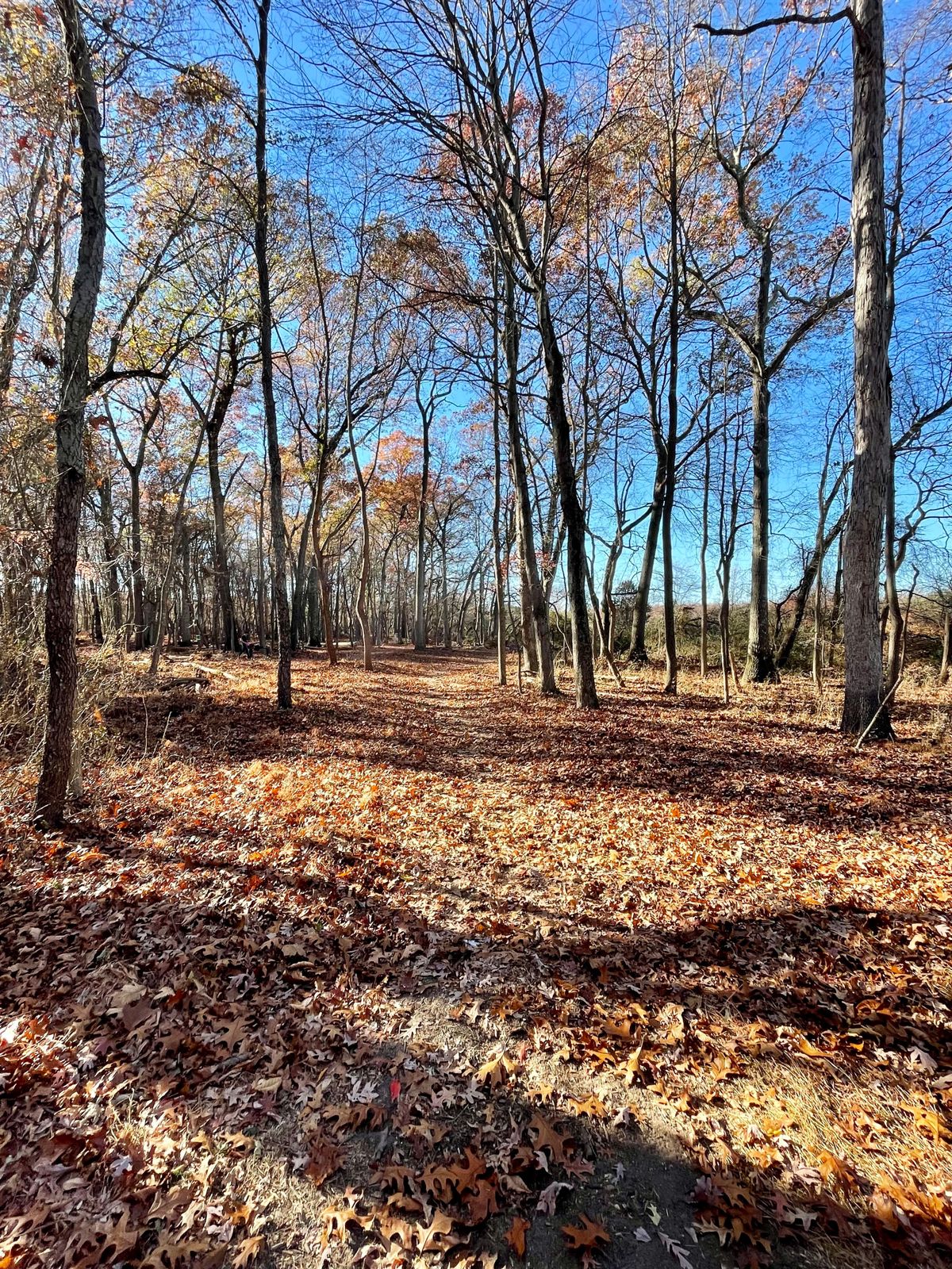 Mercer County West Hole 5