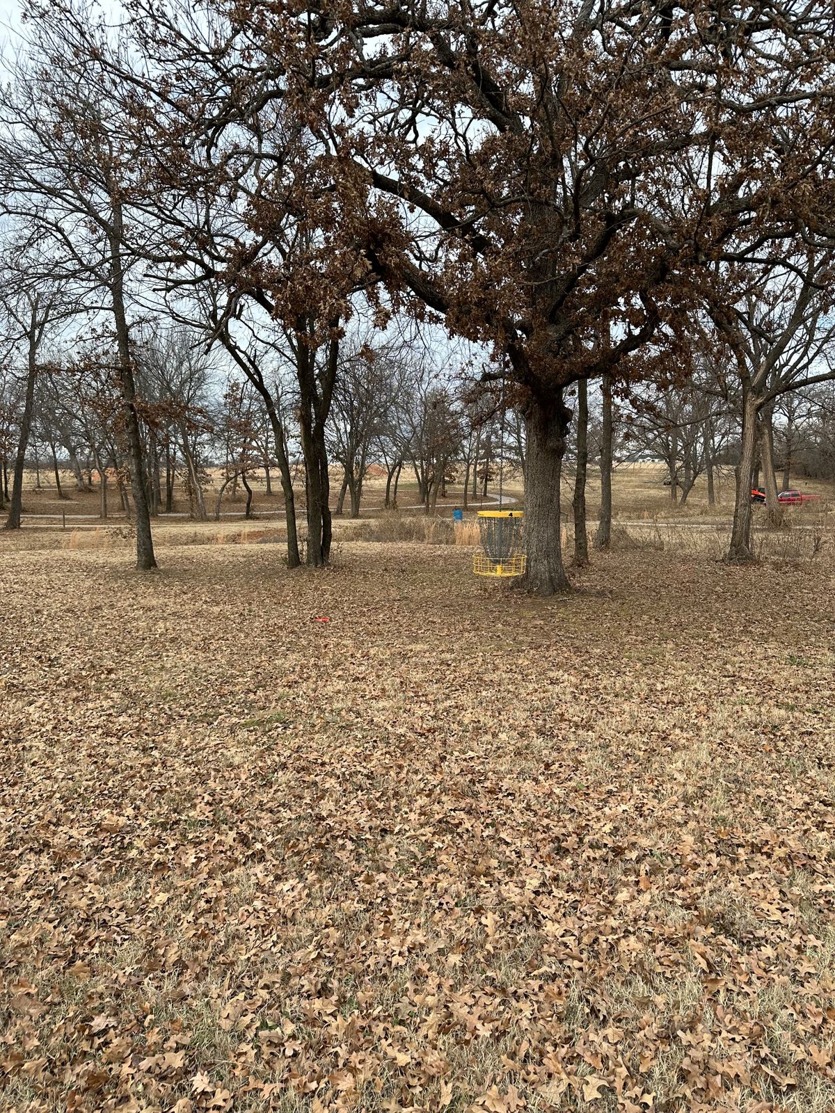 Hole 4 iconic hanging basket