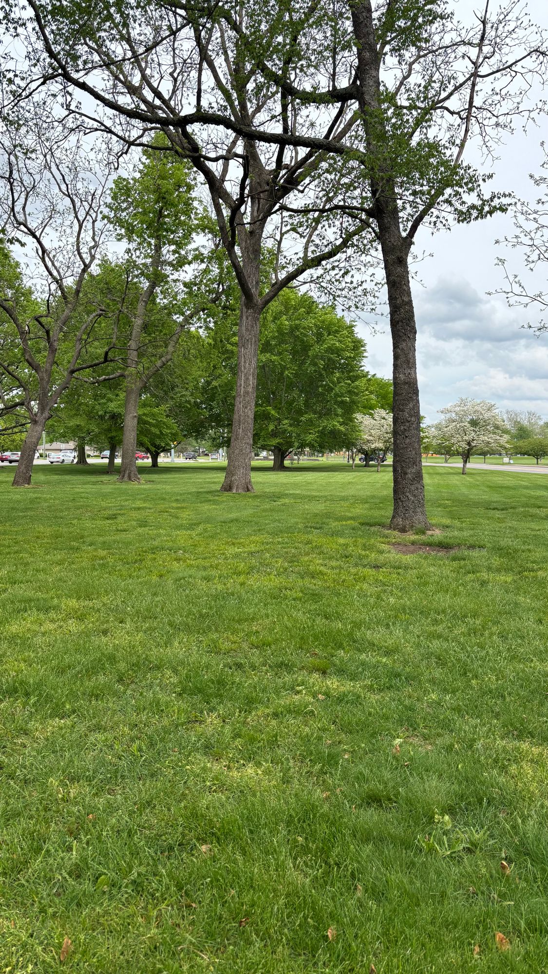 Hole 4 approach
