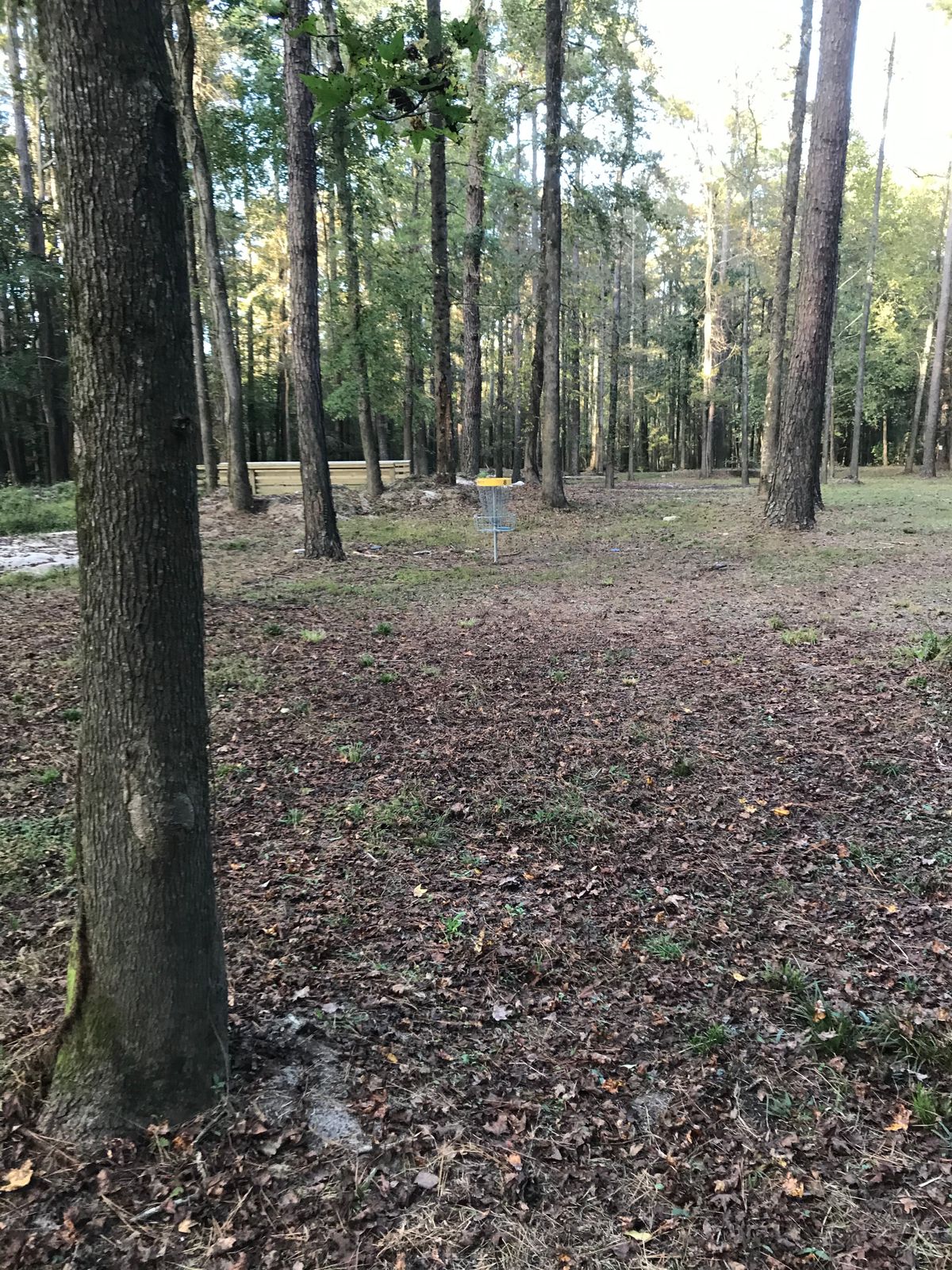 Hole 8