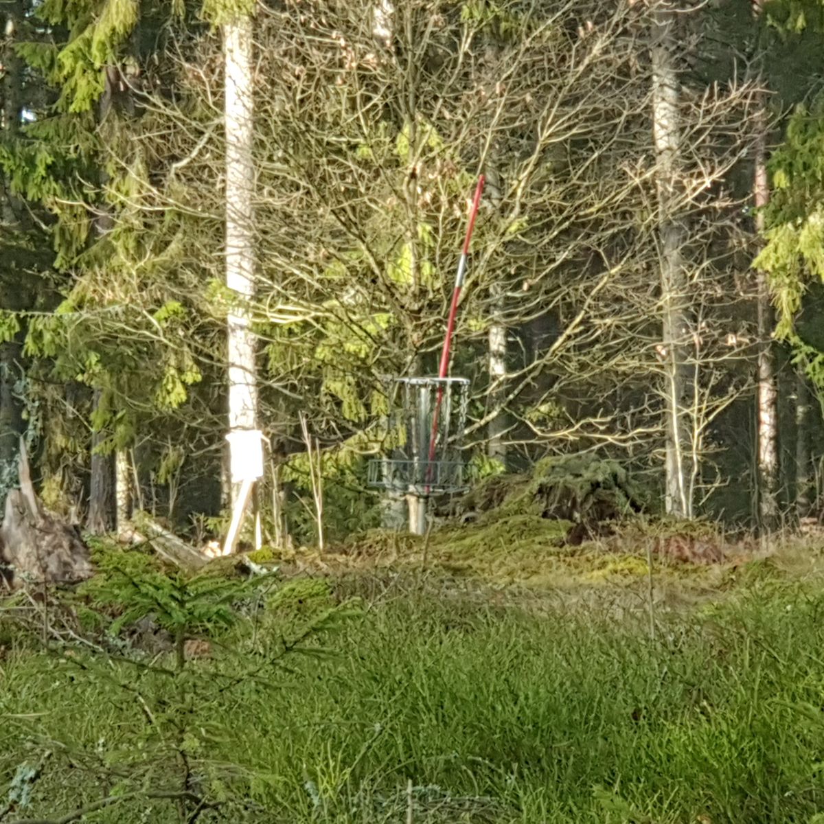 Hole 2