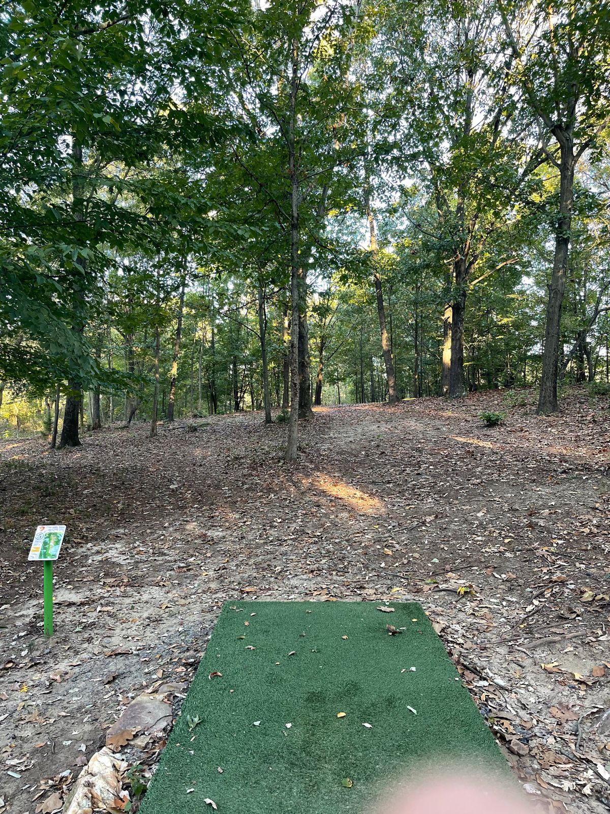 Hole 5 short