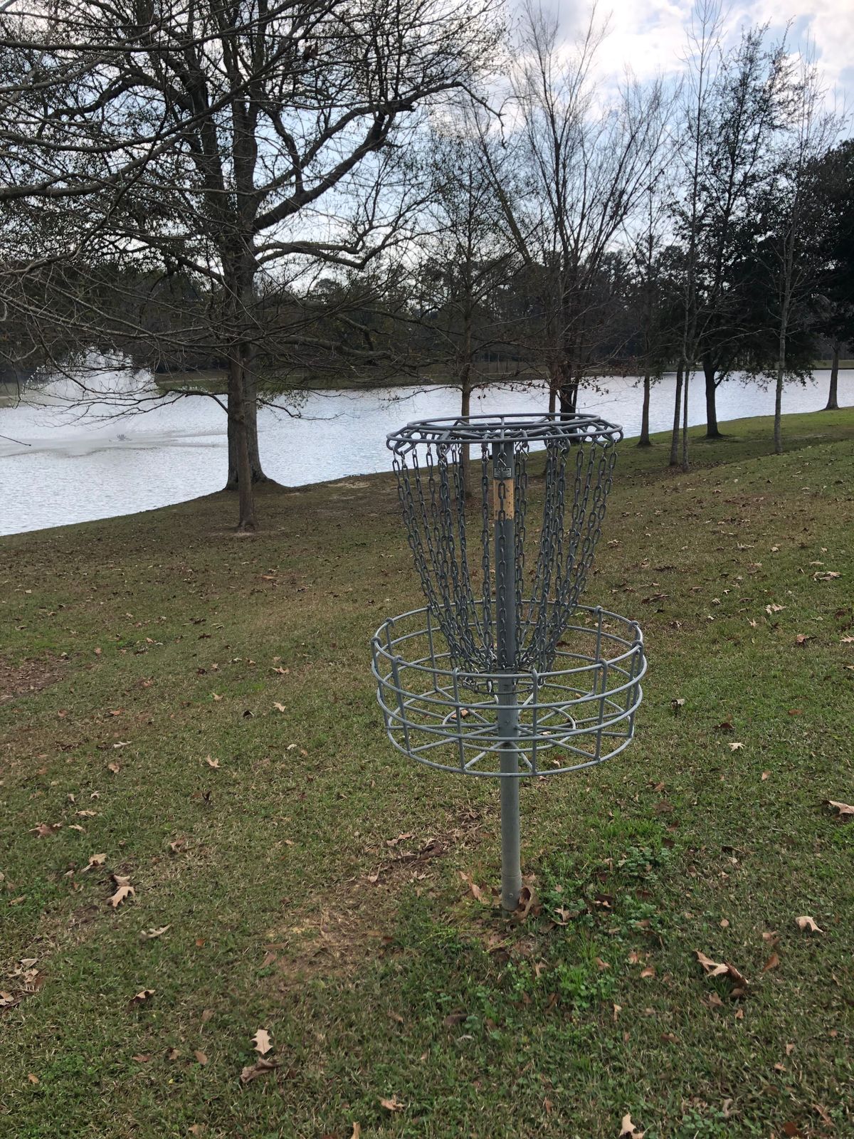 Basket Hole 11 on the Lynx