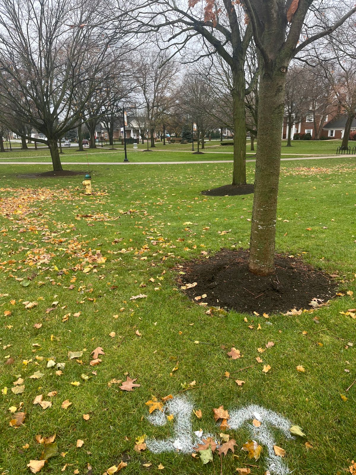 Hole 1 Tee