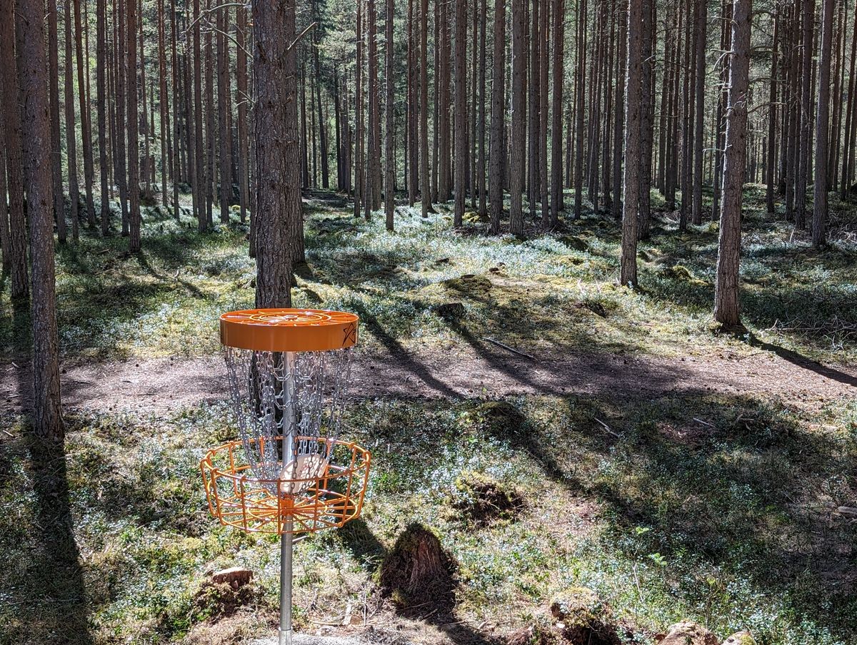 Hole 6