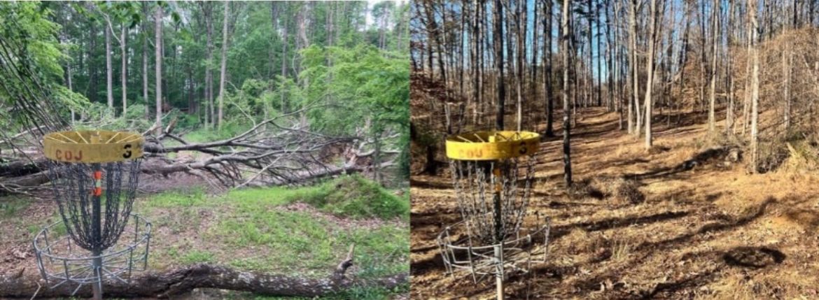 Hole 3 looking back towards tee before and after of storm damage clean up.