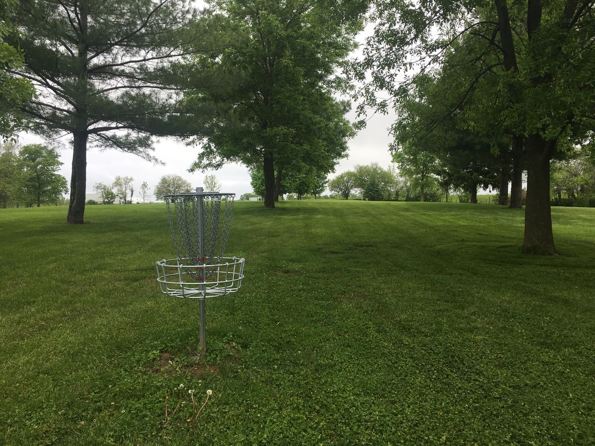 Hole 15 basket