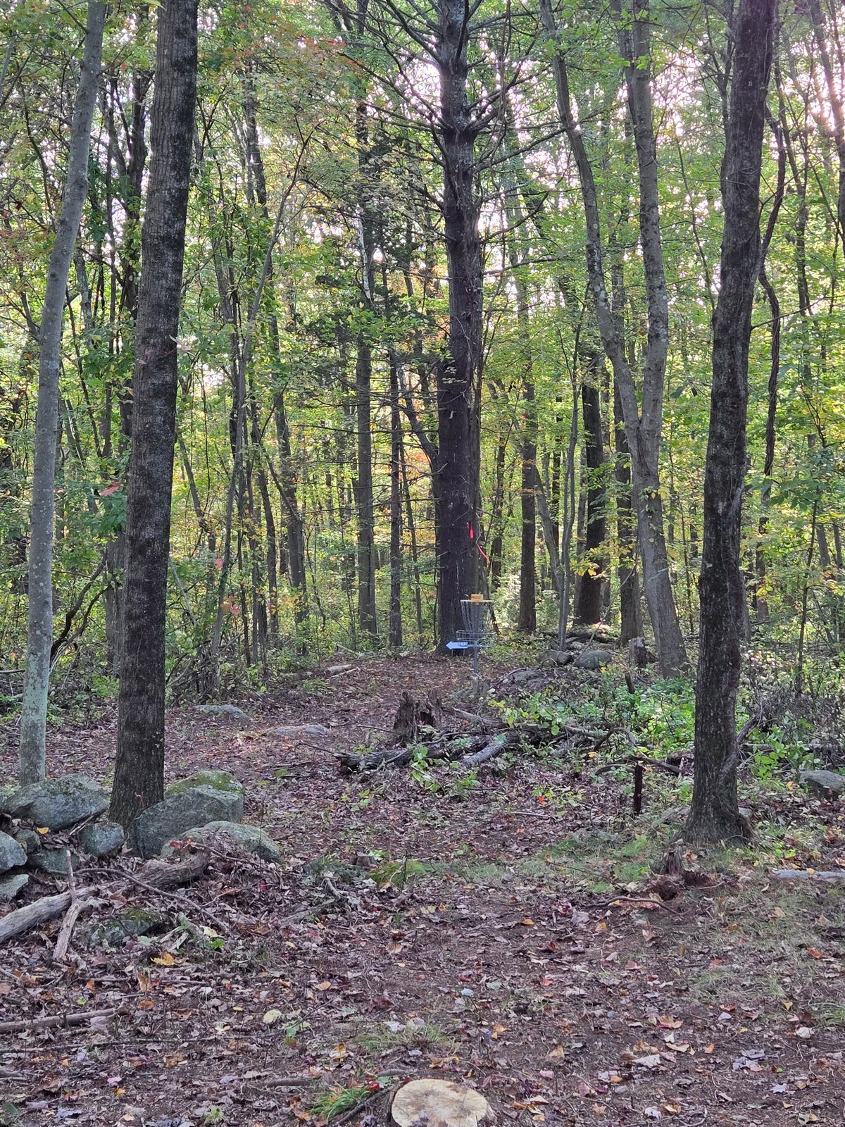 Hole 2- Temp course