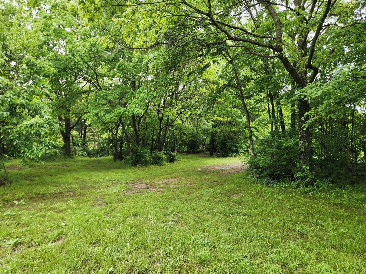 #7 approach