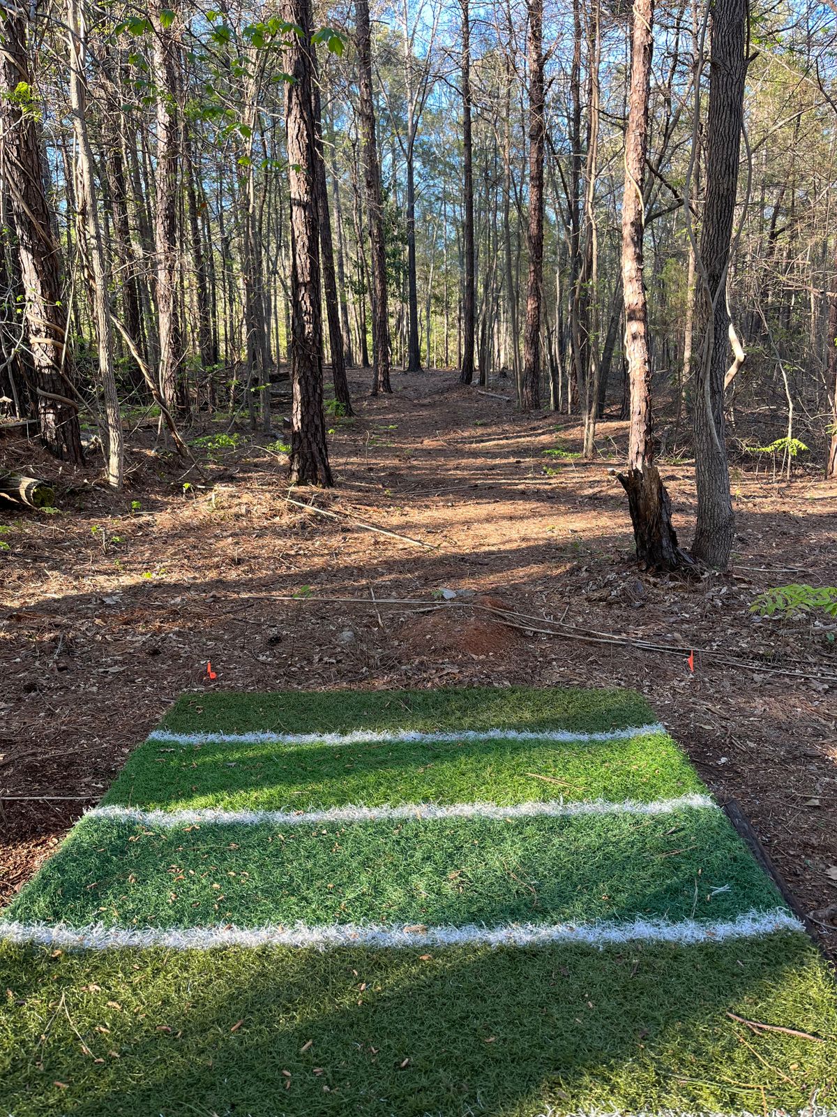 Hole 3 pad