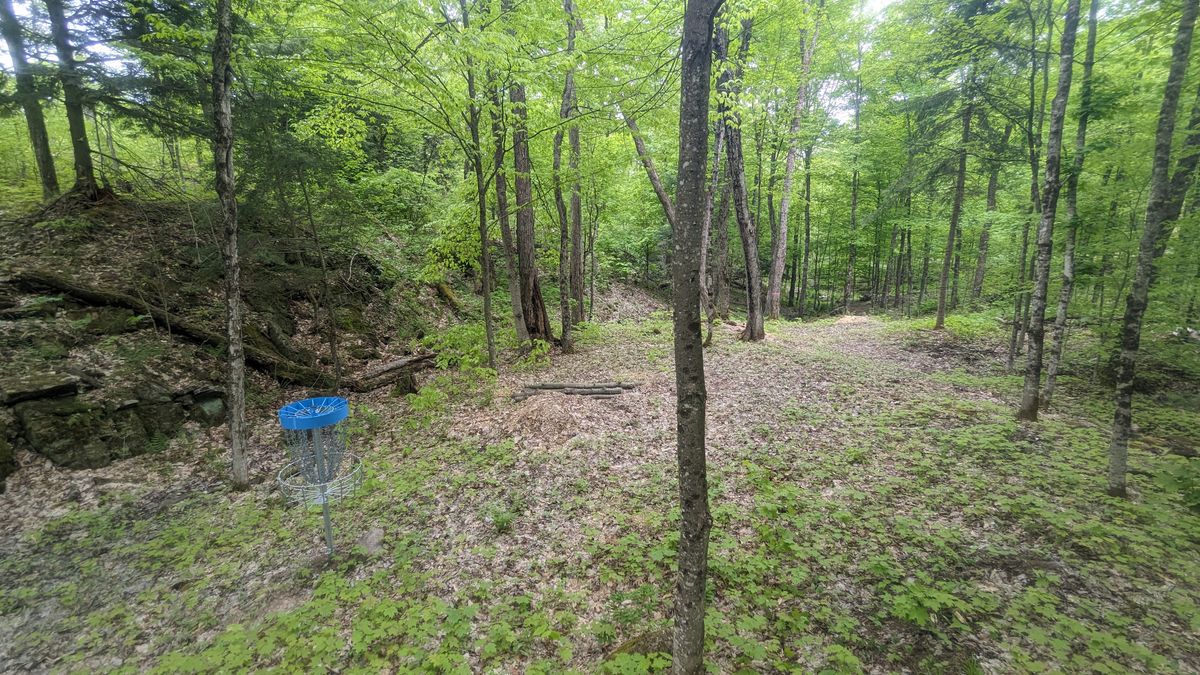 Hole 6 Green