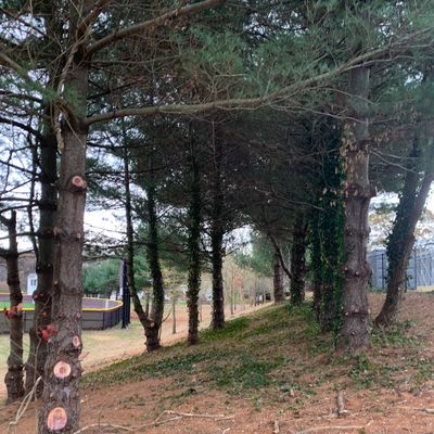 Hole 8 tee area