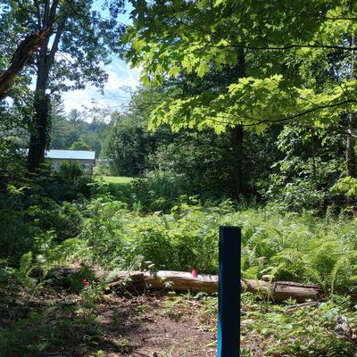 Hole 17-- out from the trees to an open field