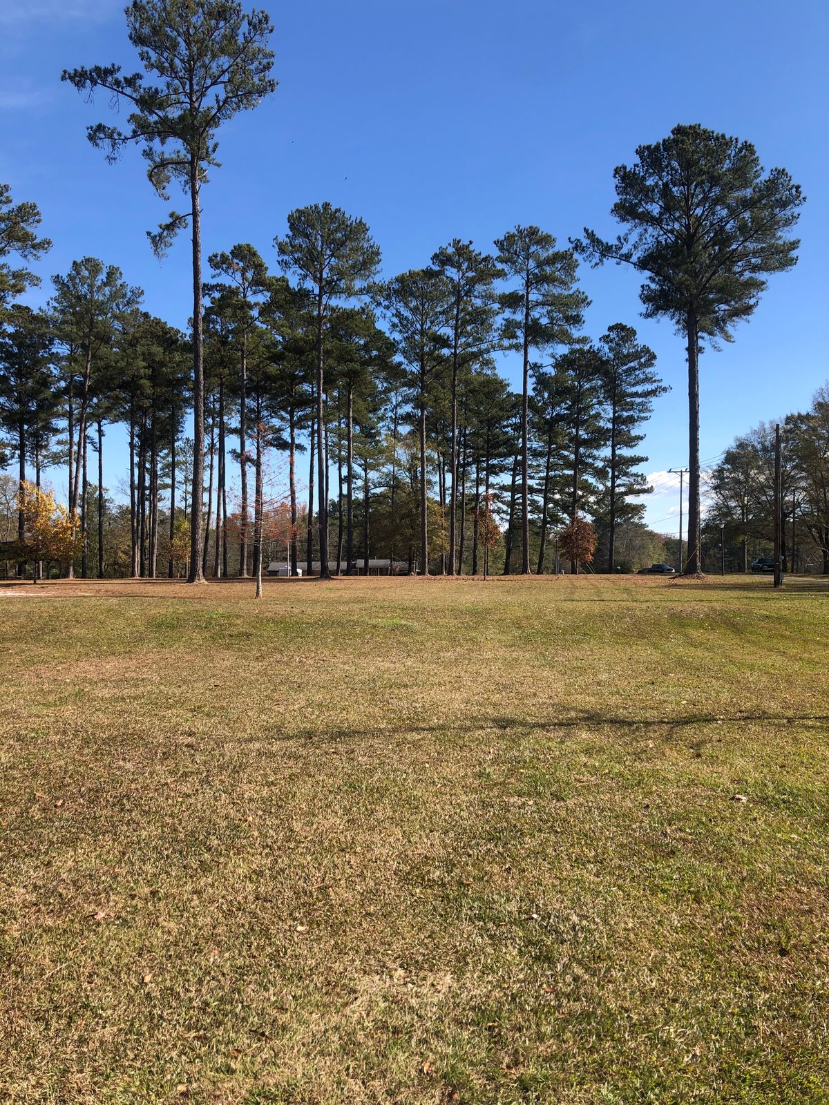 Hole 6