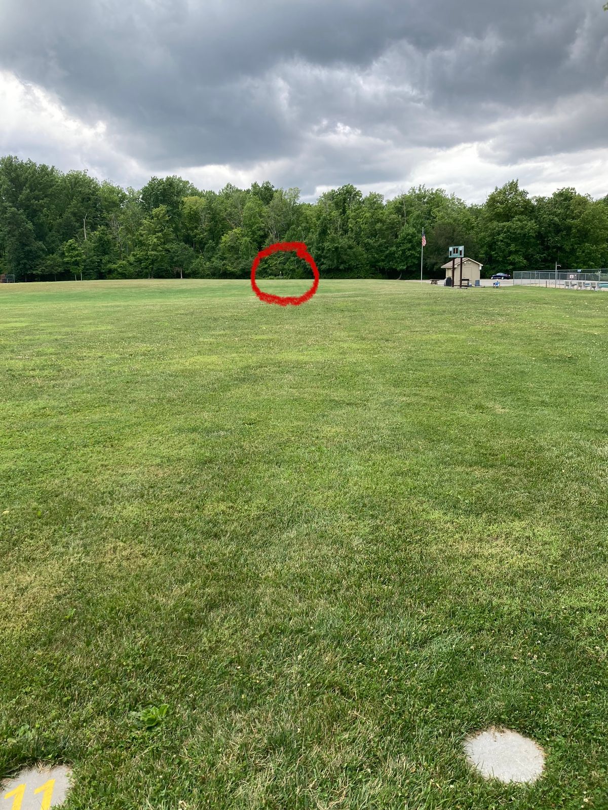 Hole 11, across an open field. Shoutout to @frisbeejojo who threw his drive into the pool.