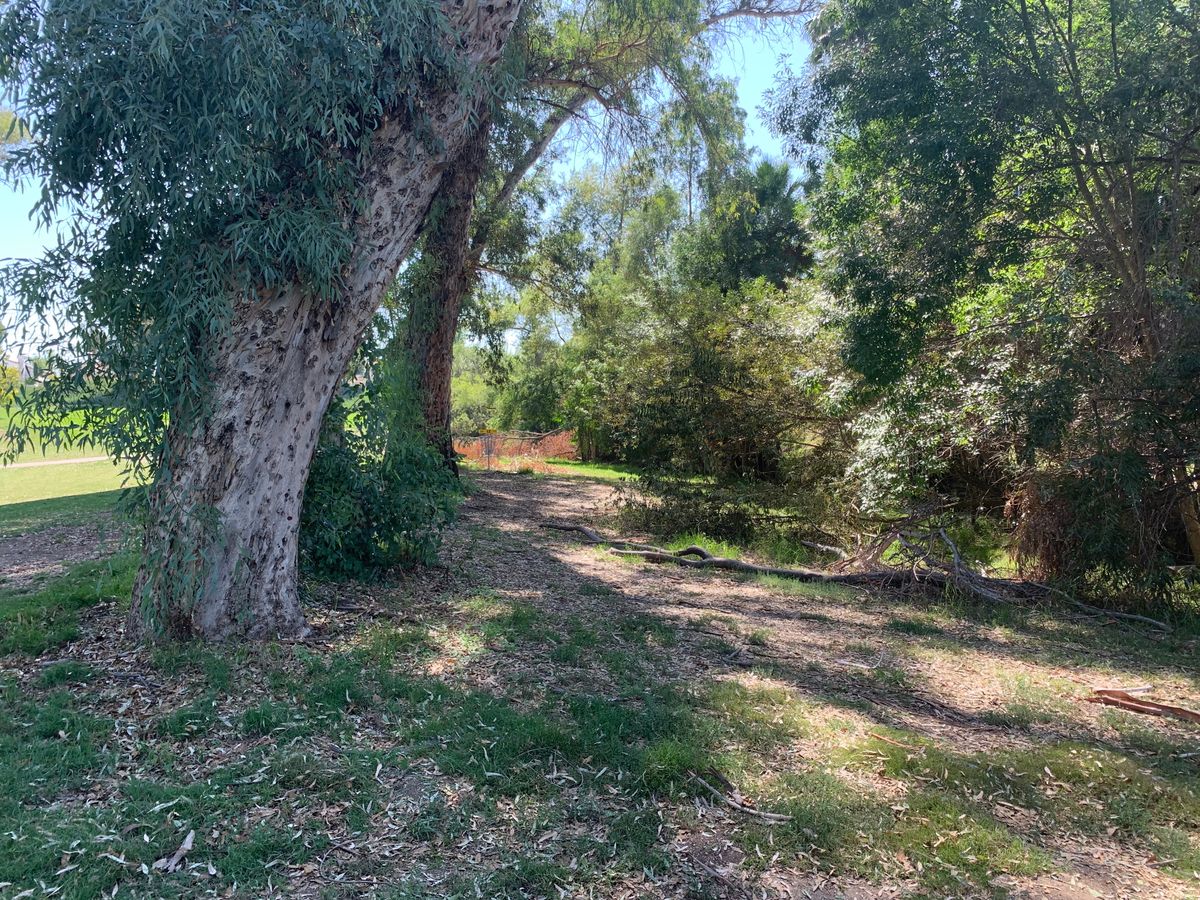 Alpha Hole 12