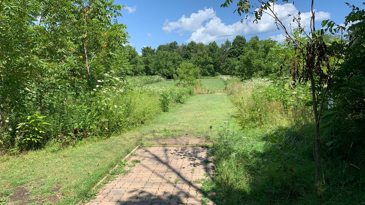 Hole 5