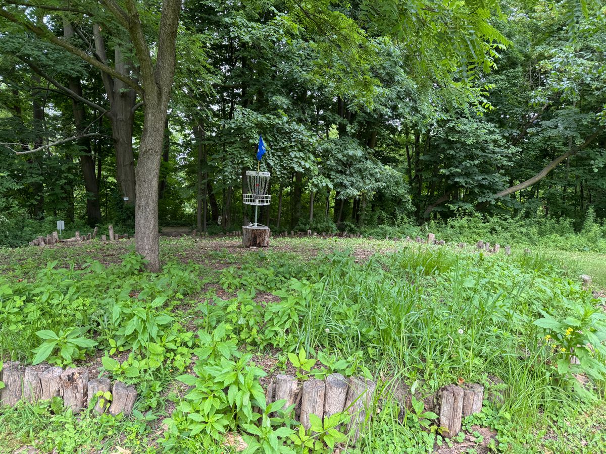 Hole 14 basket a mess July 2025