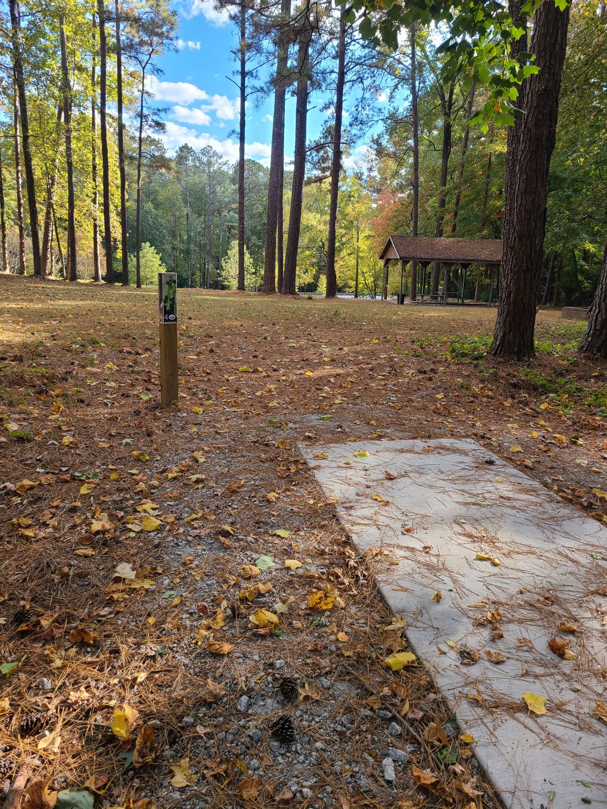 Hole 4 takes you back out of the woods