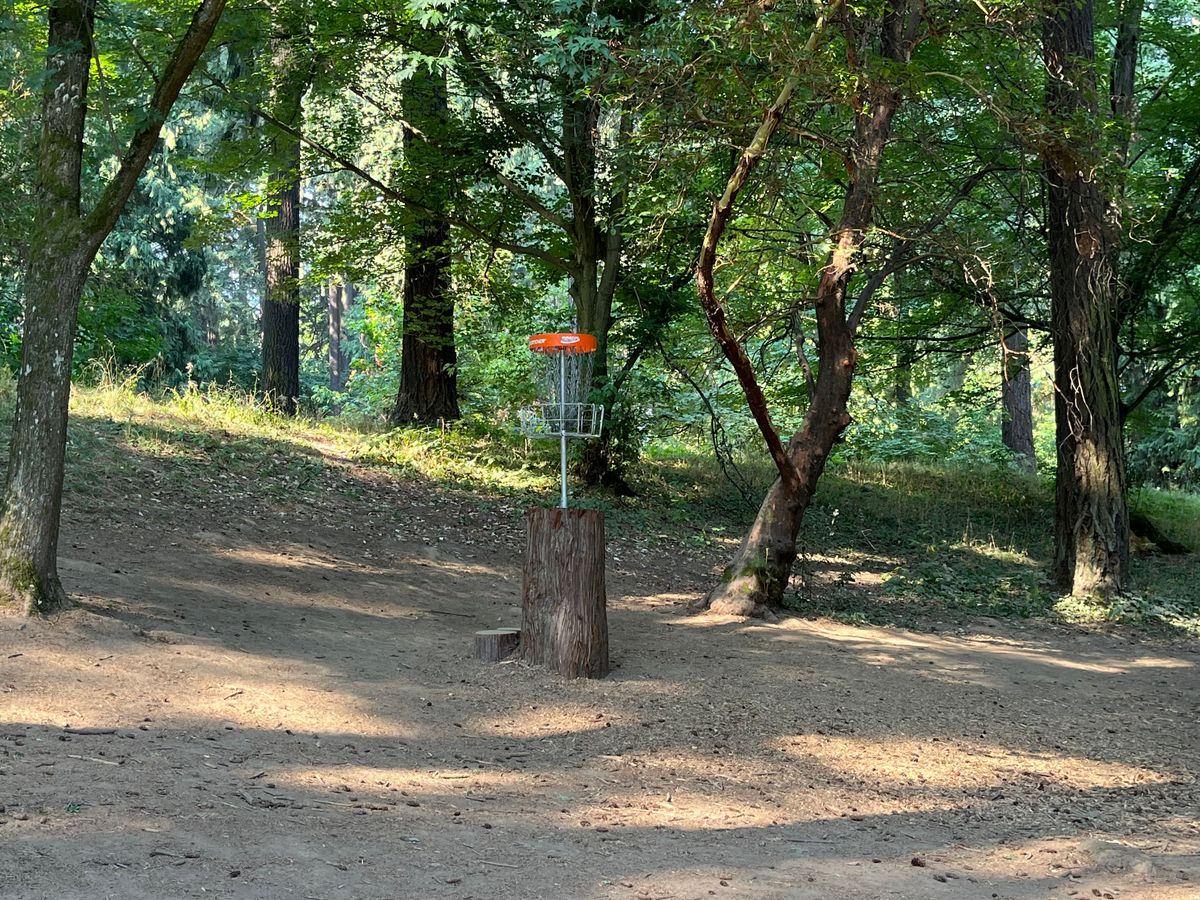 Hole 18 basket