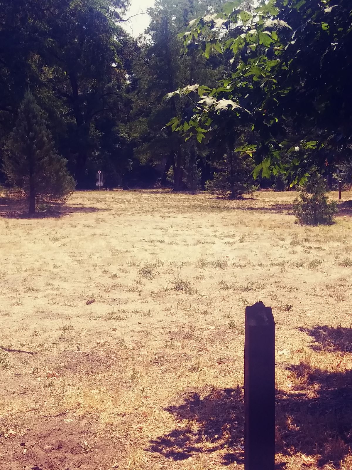 Hole 4