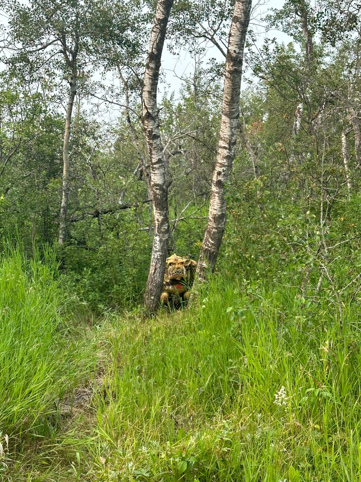 Sasquatch watching the round…. He moves around so keep your eyes open and see if you find him.