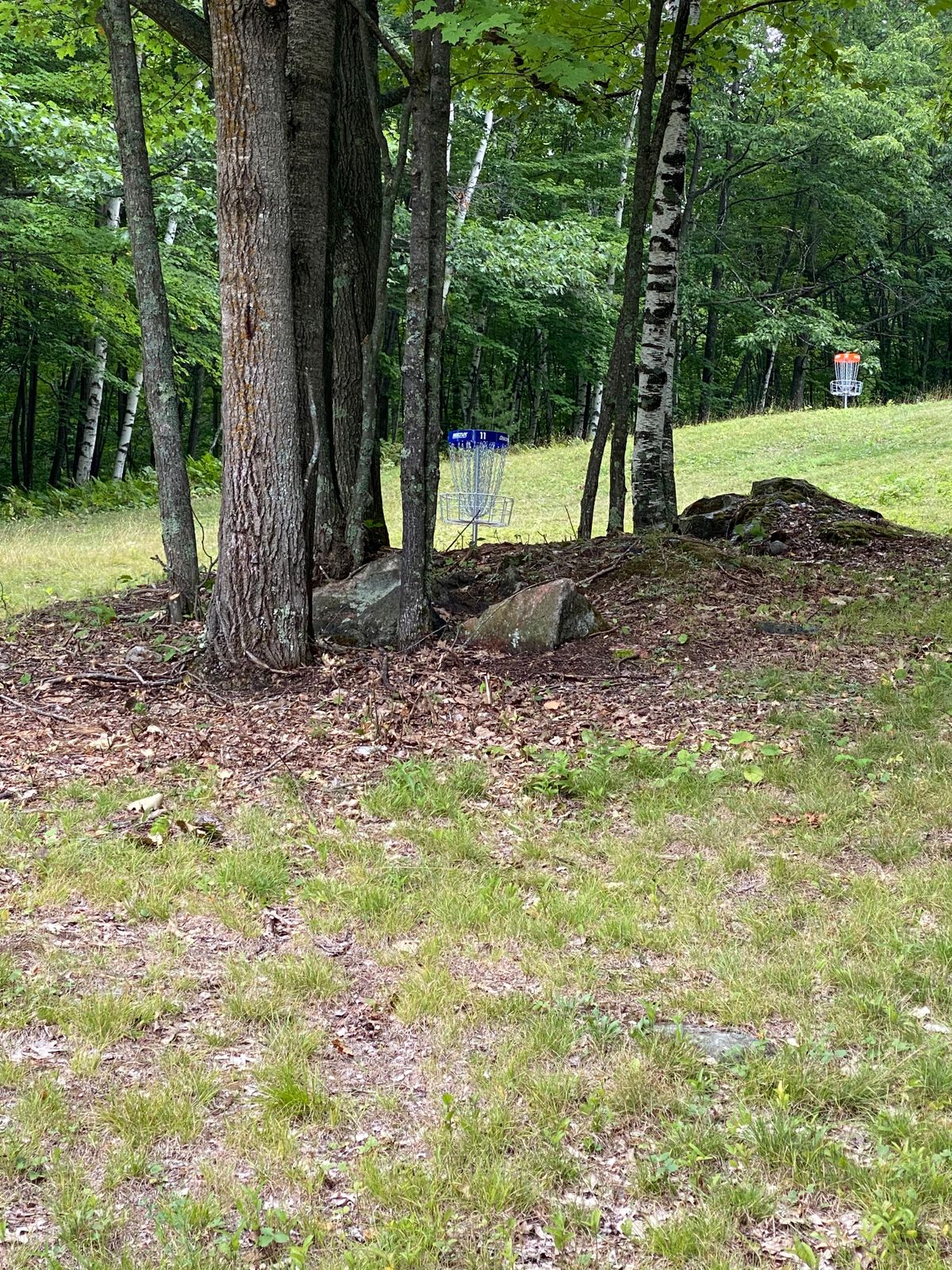 Hole 11