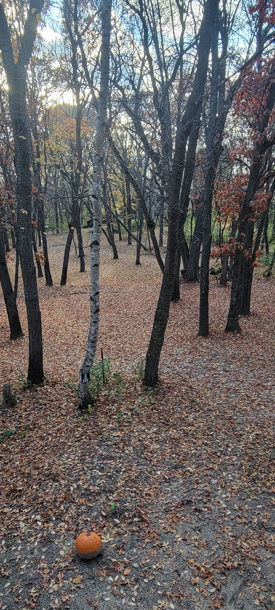 Tee pad 2