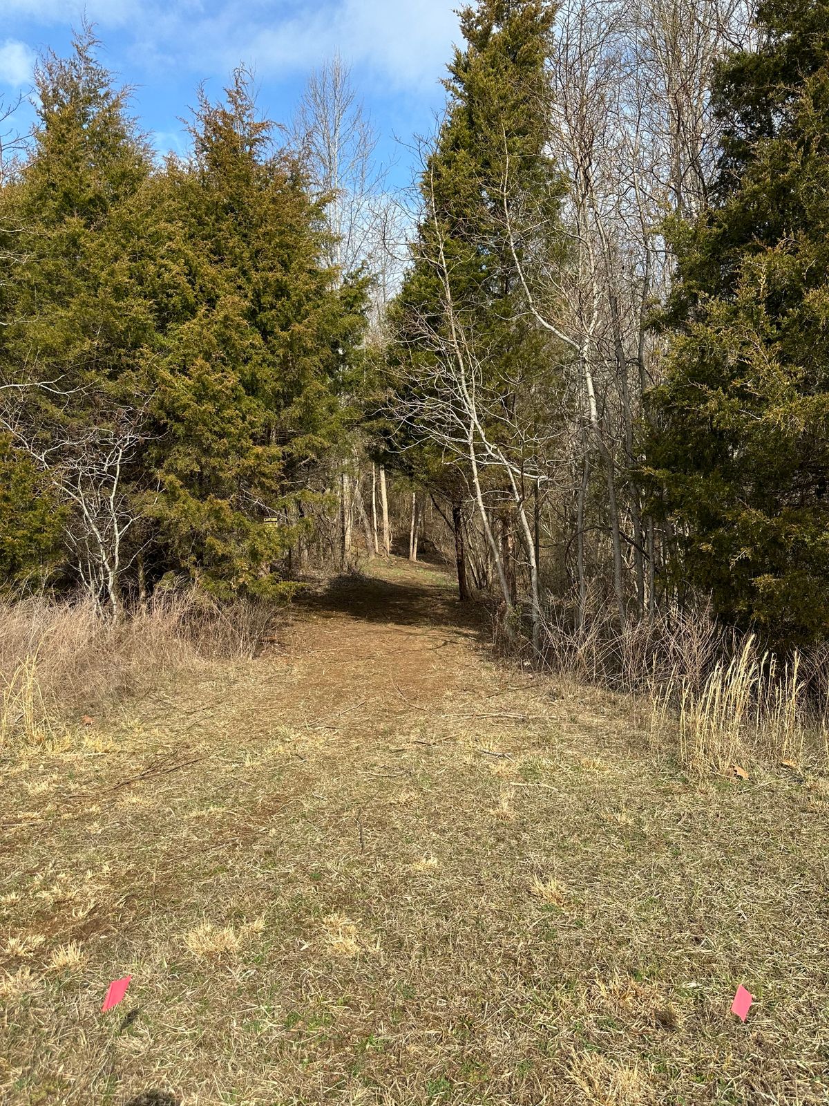 Tee pad 8