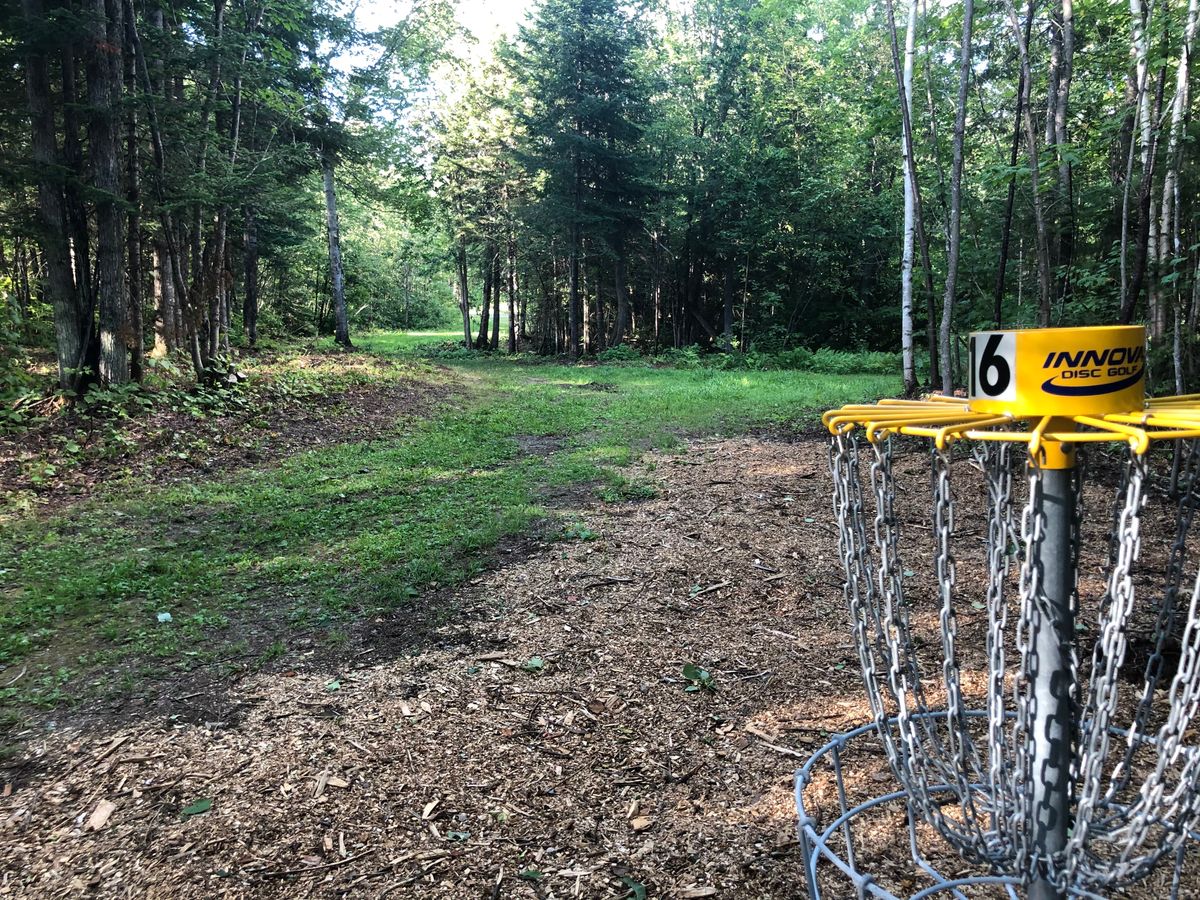 Hole #16 Basket