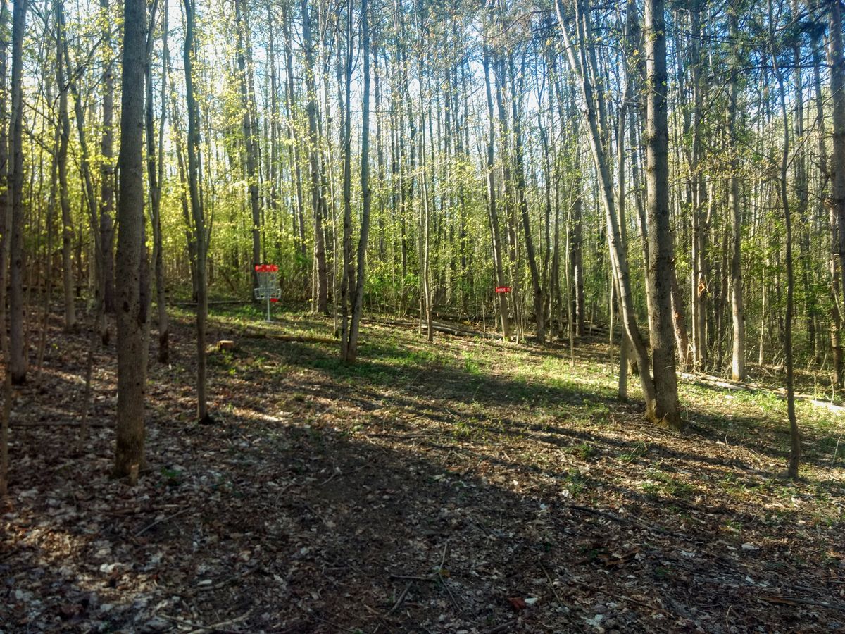 Hole 14