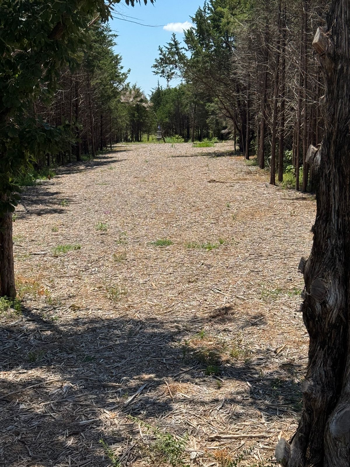 Hole #1 from middle of whole.