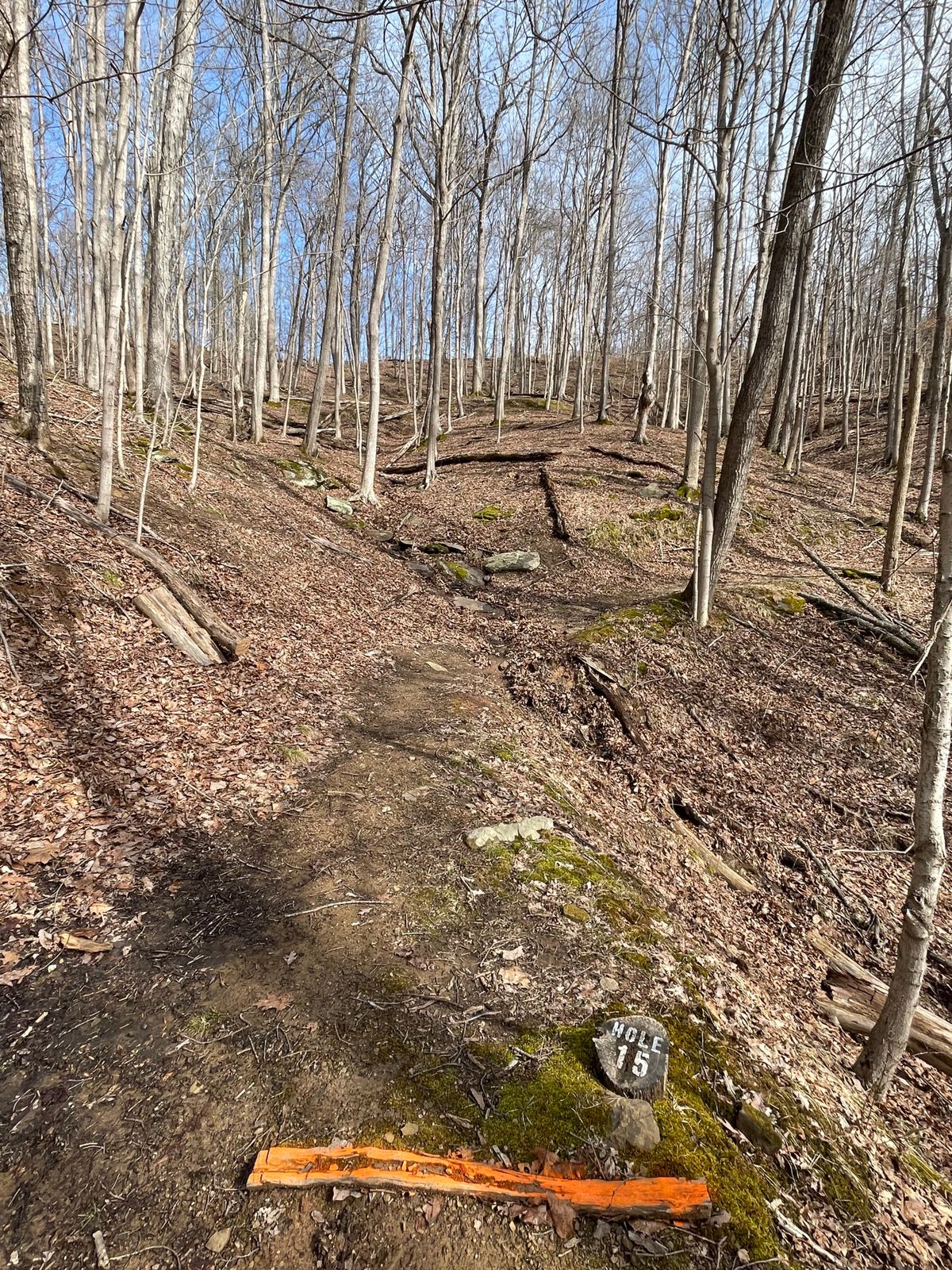 Hole 15 (Teebox, Basket is hidden from Teebox, just past the upper Dark Log Straight up the hill)