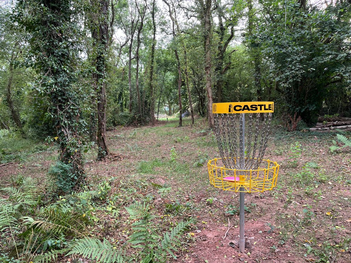 Basket 1 looking back down fairway