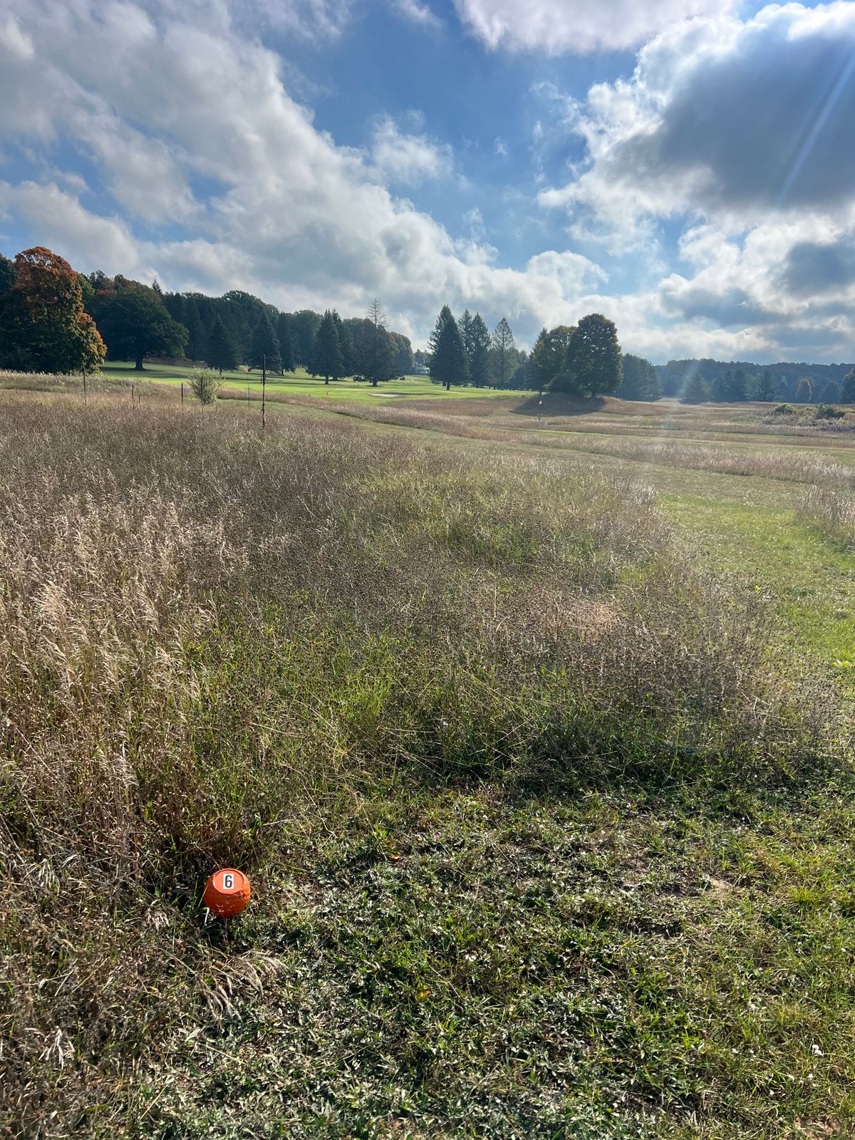 New Hole 6
