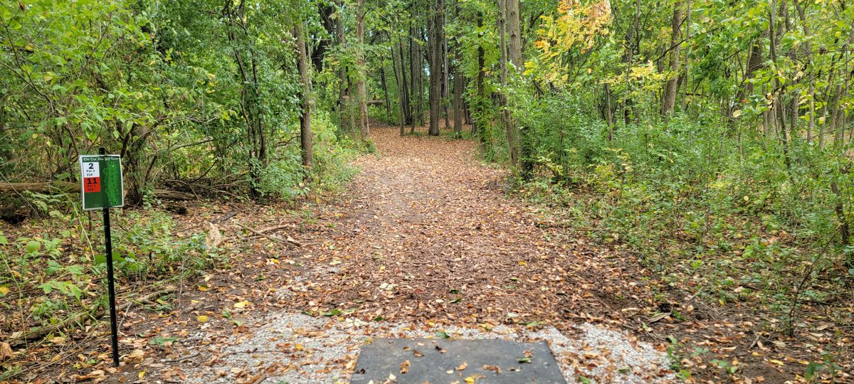 Hole 2 tee. So many choices.