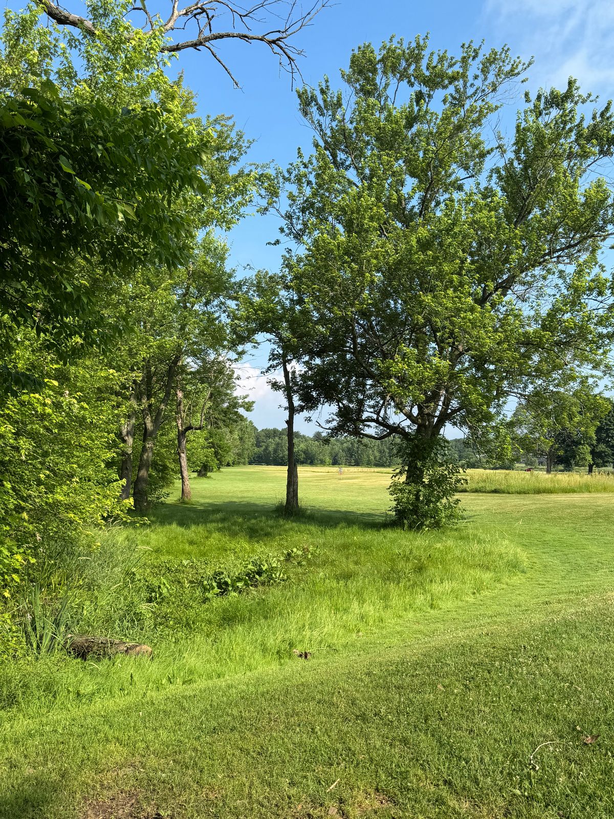 Hole #1