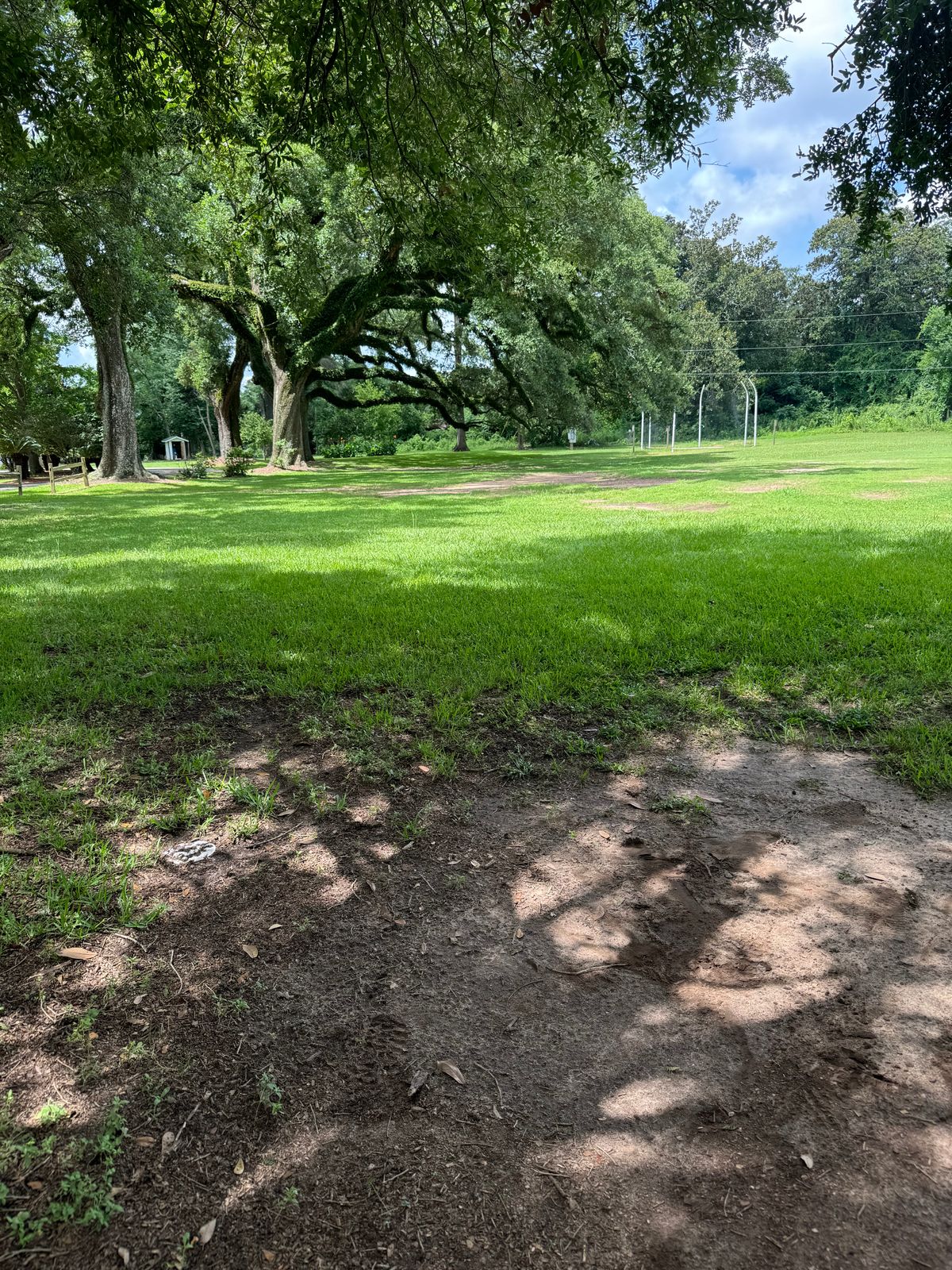 Hole 15